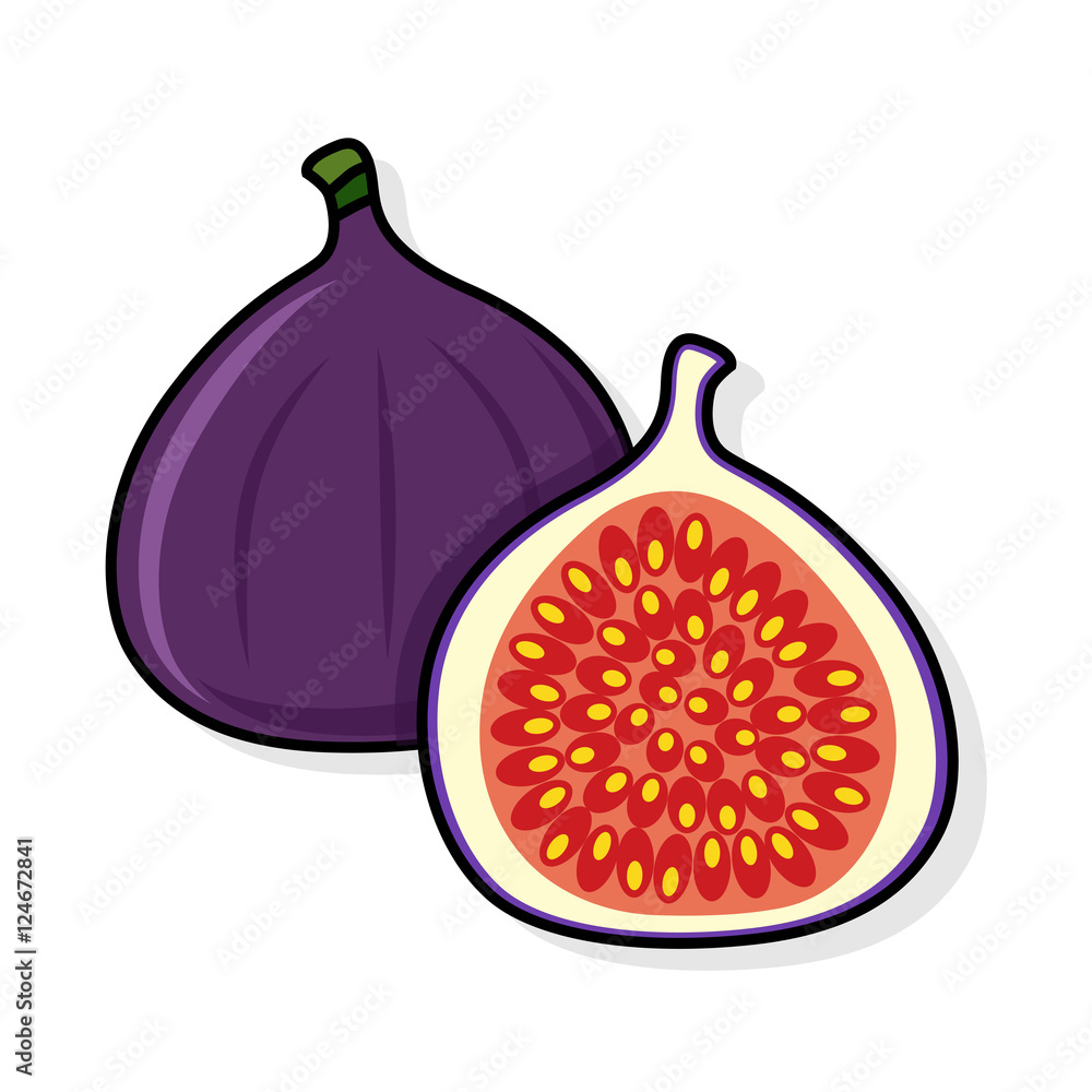 Fig on a white background. 
