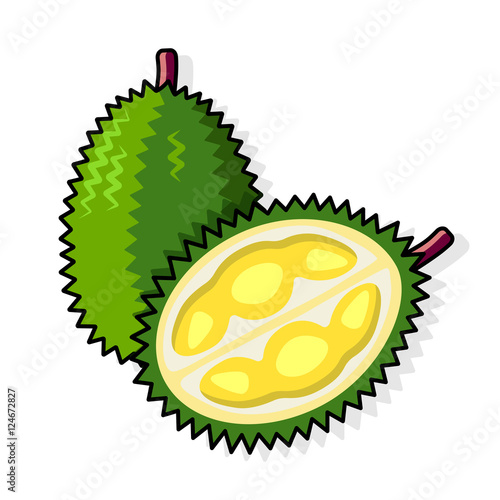 Durian isolated on a white background