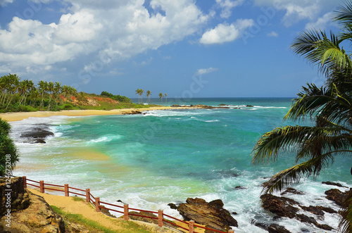 A beautiful deserted sandy beach with palm trees at the southern coastline of Sri Lanka (Tangalle region)