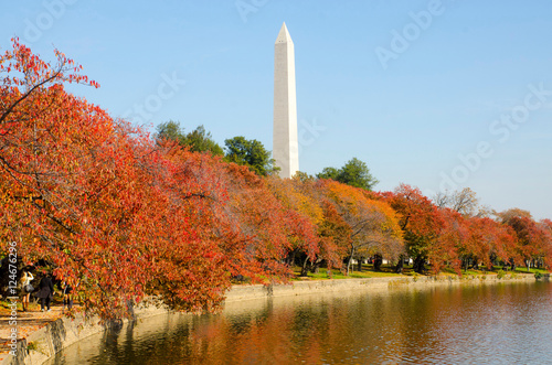 Fall foliage on the cherry trees at the Tidal Basin, with the Washington Monument in the background
