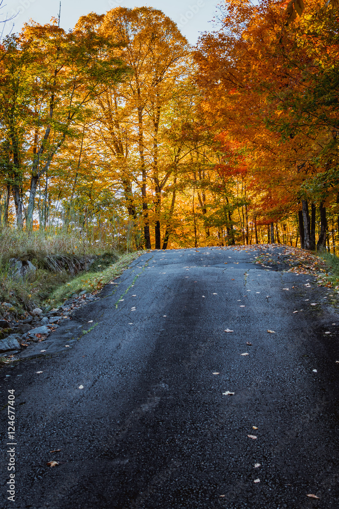 Autumn road and colors