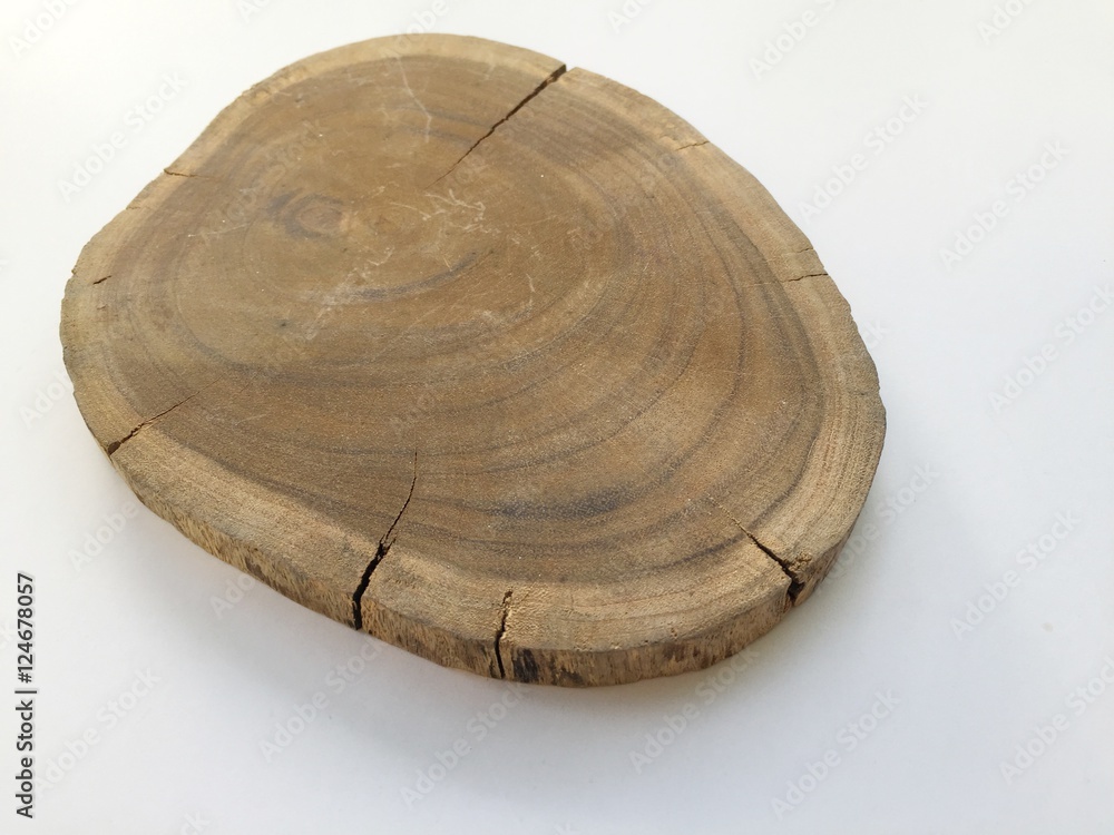 Wood slice on white background Wood slice on white background