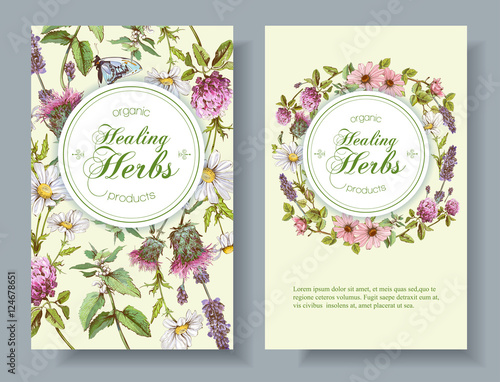 Vector herbal banner