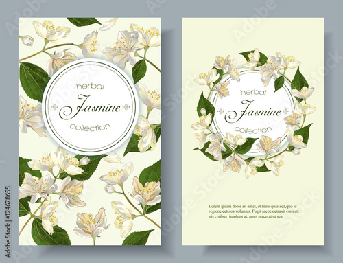 Jasmine flowers banner