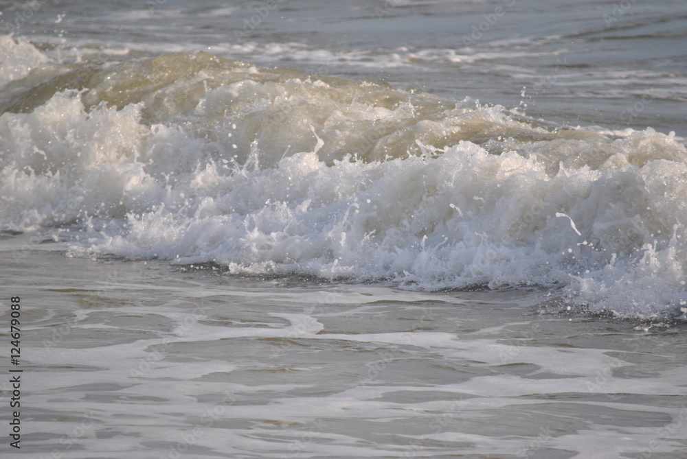 Fototapeta premium Beach