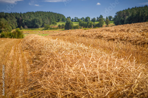 Stroh Feld Landschaft Landwirtschaft