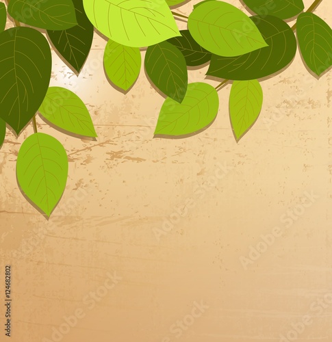 green leaves on brown background