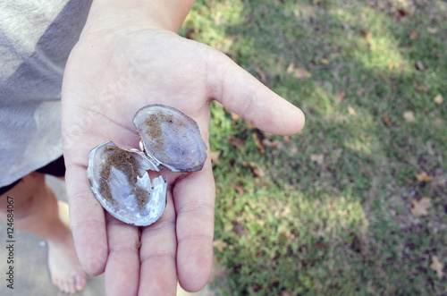 Foto Holding Broken Mussel Shell