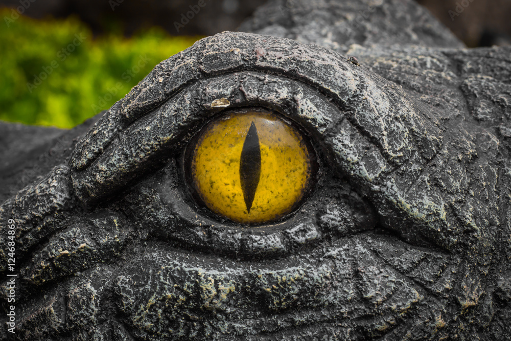 Naklejka premium Yellow eyes of crocodiles.