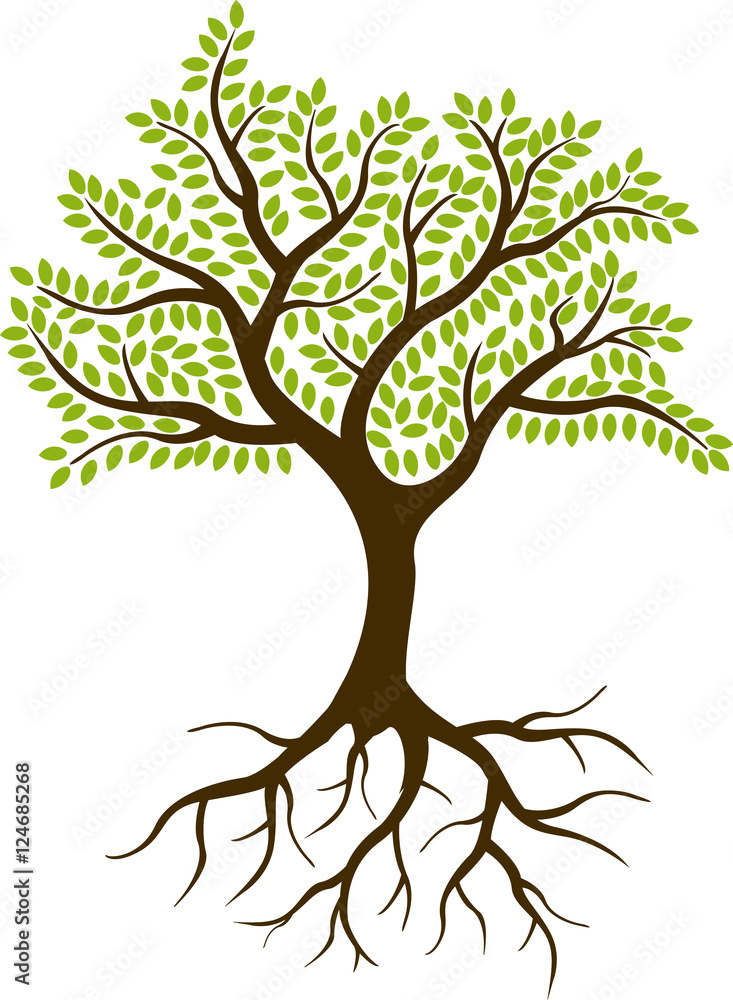 Fototapeta premium tree silhouette