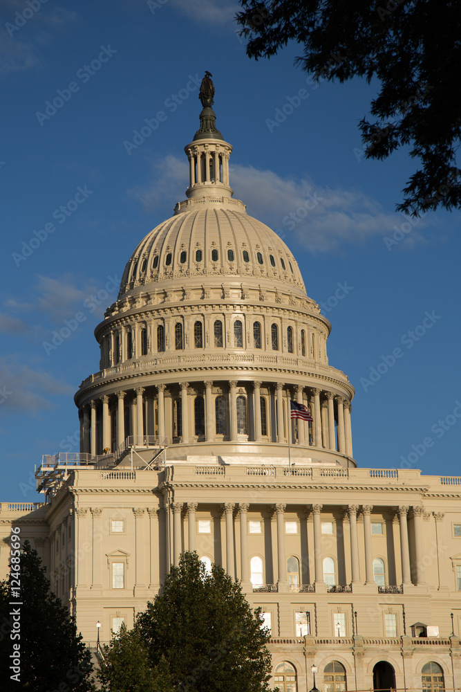 Obraz premium United States Capitol Building