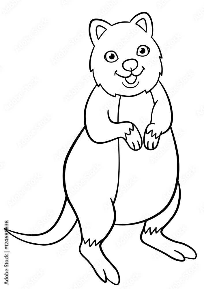 Obraz premium Coloring pages. Little cute quokka smiles.