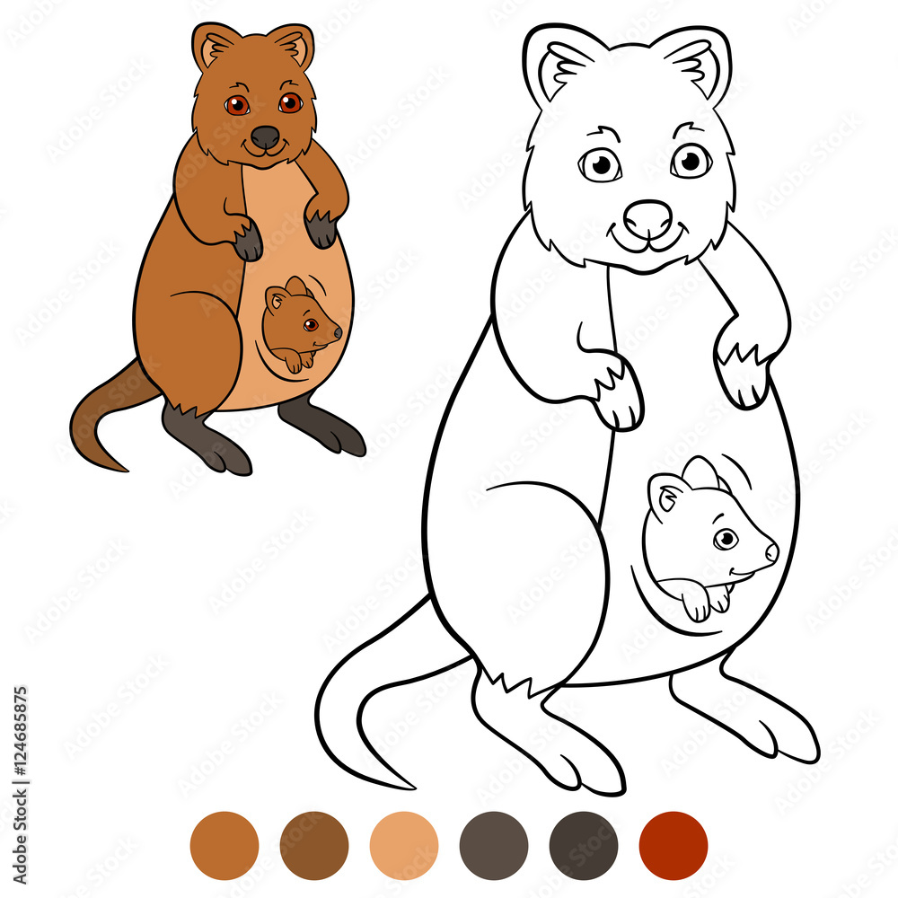 Color me quokka. Mother quokka with her little cute baby. Stock Vector