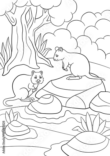 Coloring pages. Two little cute quokkas in the forest.