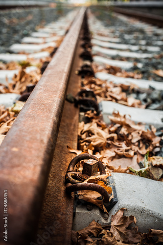 Fototapeta Naklejka Na Ścianę i Meble -  Detail of an old railway track with autumn leafs