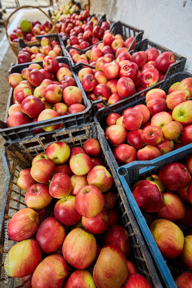 Homegrown apples in crates Homegrown apples in crates