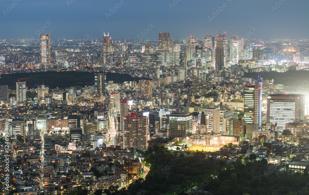Tokyo, Japan. Beautiful aerial view of city buildings at night