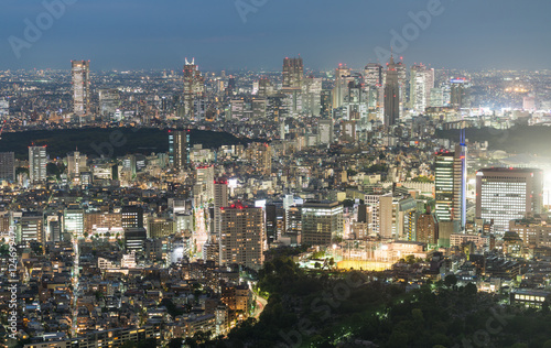 Tokyo, Japan. Beautiful aerial view of city buildings at night