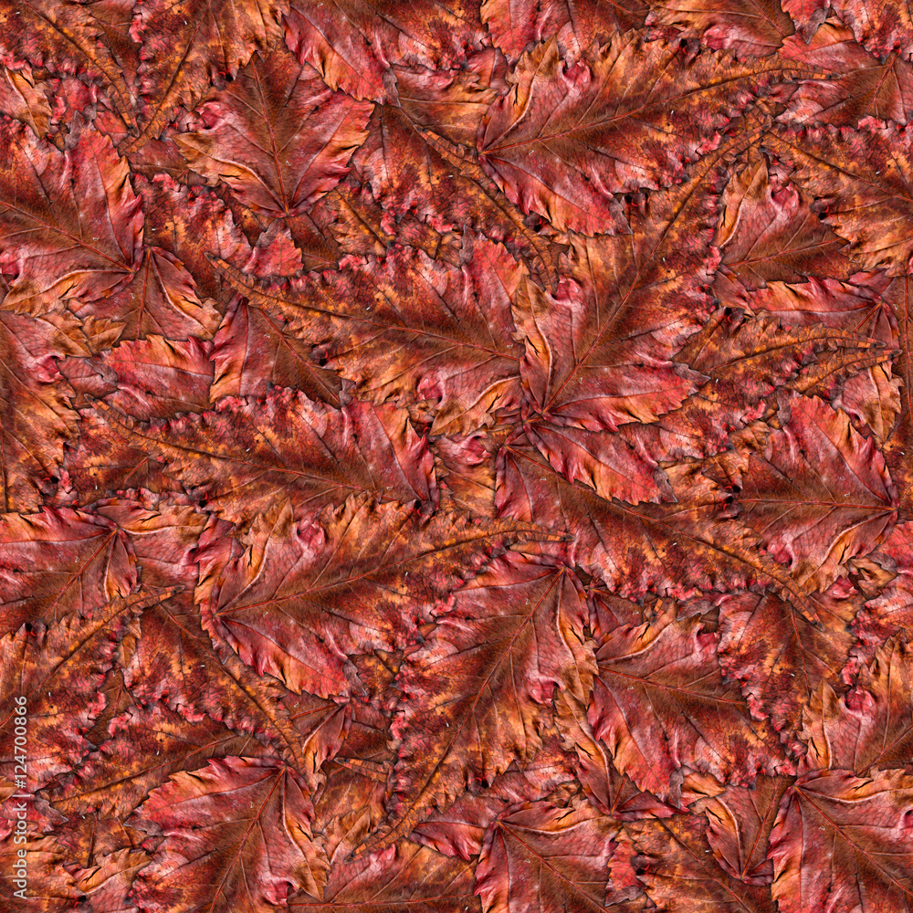 seamless background pattern texture made of maple leaves seamless background pattern texture made of maple leaves