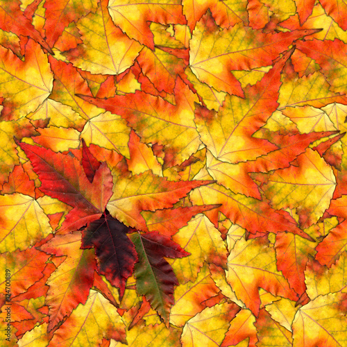 seamless background pattern texture made of maple leaves