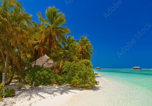 Fototapeta Naklejka Na Ścianę i Meble -  Tropical Maldives island