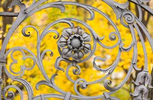 Floral ornament of fence of the Mikhailovsky Park on a background of autumn leaves, St. Petersburg, Russia photo