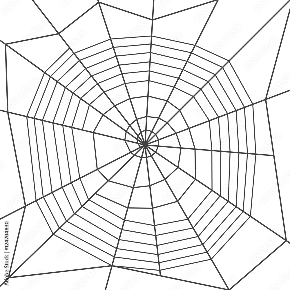 Obraz premium Spider web, spiral type. Halloween decoration.