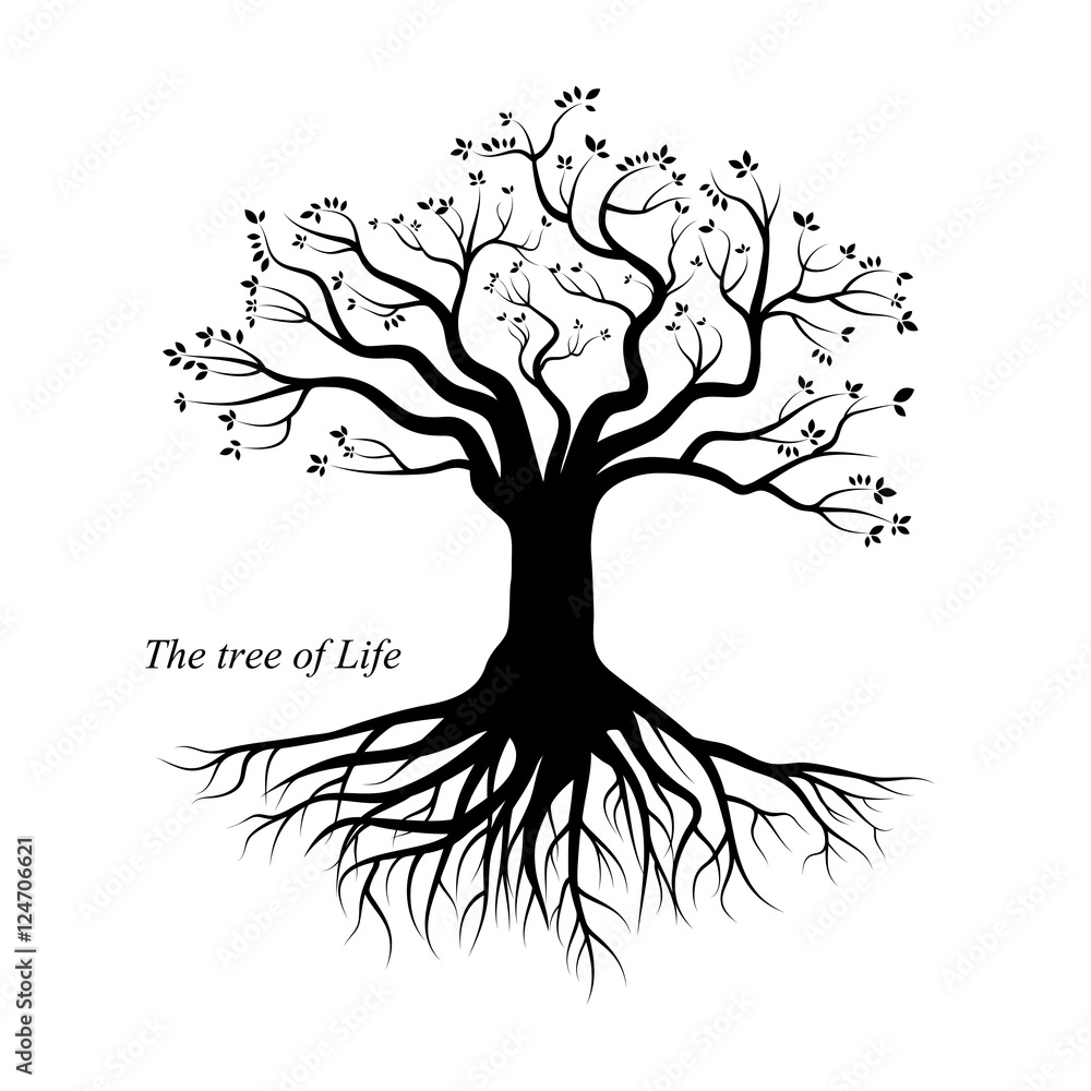 Tree Of Life Stock Vector Adobe Stock 7358