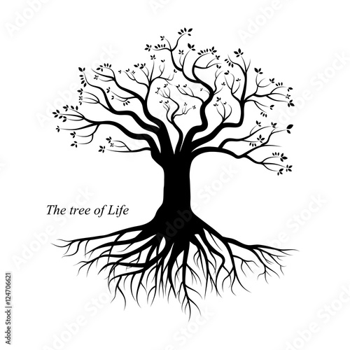 Tree of Life