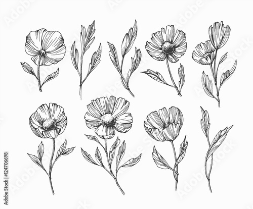 Black isolated abstract flowers and leafs' set