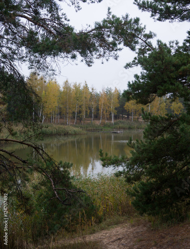 Autumn forest on the lake © natagolubnycha