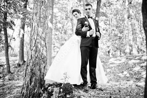 Gorgeous wedding couple at autumn park in love