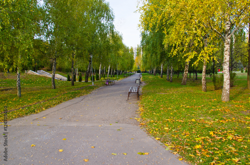 Alley with benches in a park on autumn