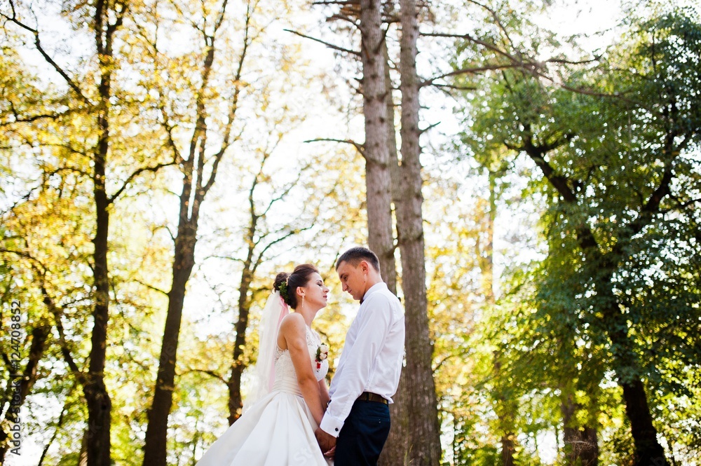 Gorgeous wedding couple at autumn park in love Gorgeous wedding couple at autumn park in love