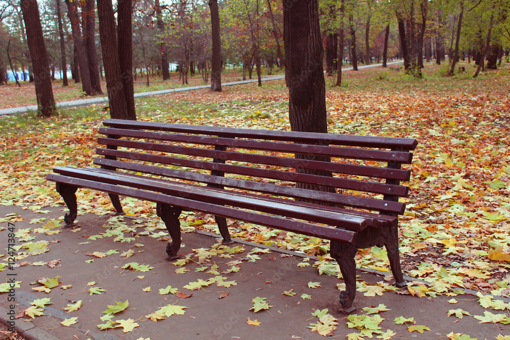 bench