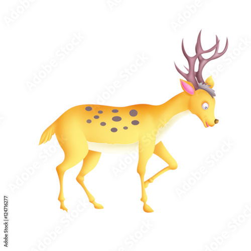 Deer/reindeer
