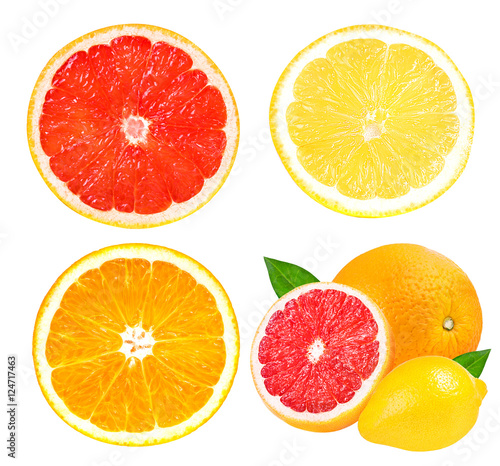 Citrus Fruit Set  grapefruit orange  lemon  isolated on white
