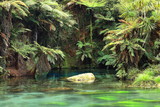 blue springs in tropical forest