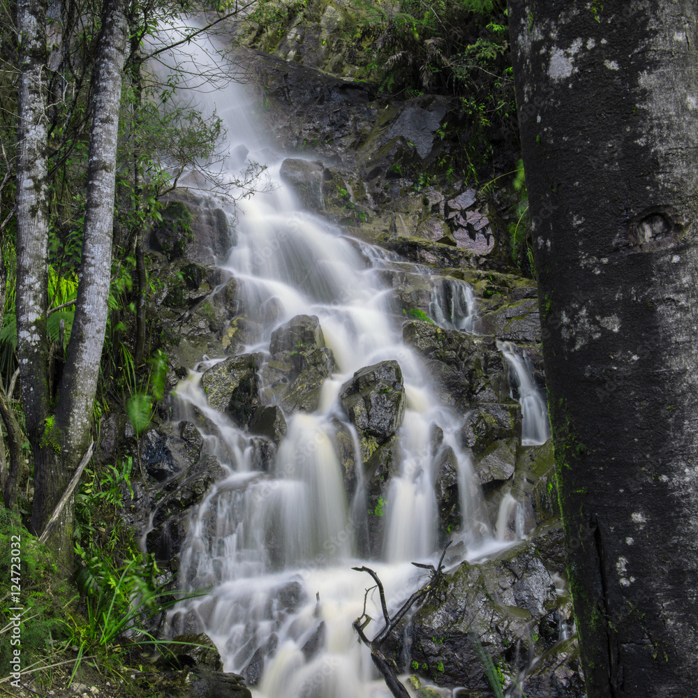 Waterfall in Cradle Mountain, Tasmania, Australia.