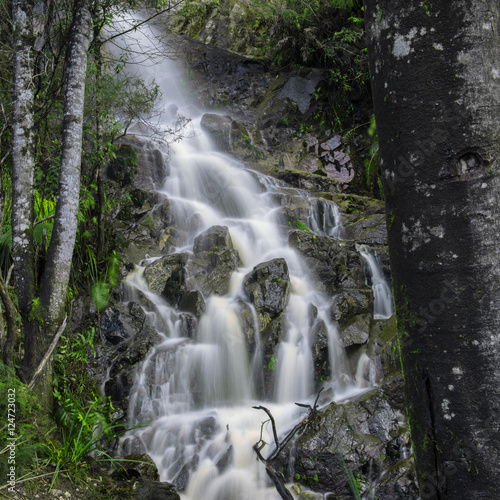 Fototapeta Naklejka Na Ścianę i Meble -  Waterfall in Cradle Mountain, Tasmania, Australia.