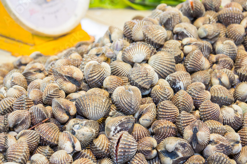 Fresh blood cockles in sea food market photo