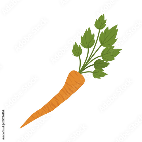 orange carrot icon. vegetables healthy food design over white background. vector illustration