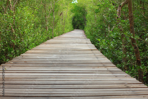 wooden bridge In mangrove forest