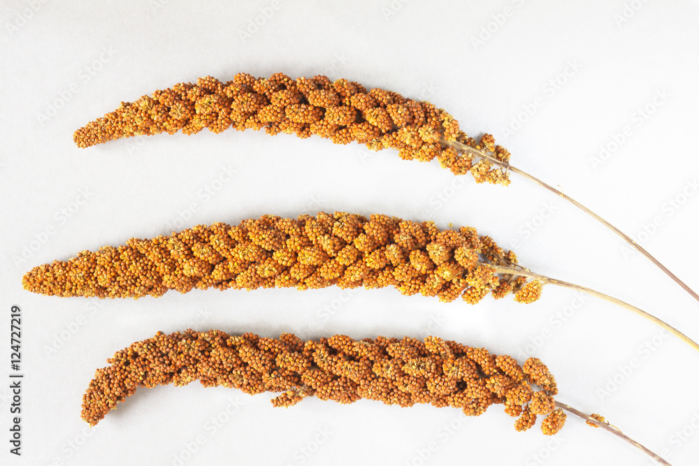 Ταπετσαρία Three twig red millet on silver-gray background. Top view