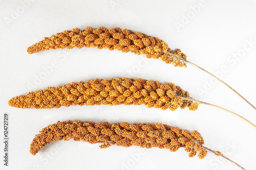 Three twig red millet on silver-gray background. Top view