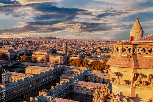 Paris, France view from Notre Dame Cathedral. Sacre-Coeur in the background.