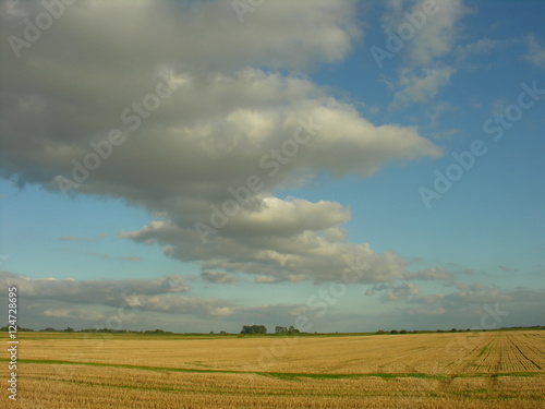 Clouds in sky over fenland farmland