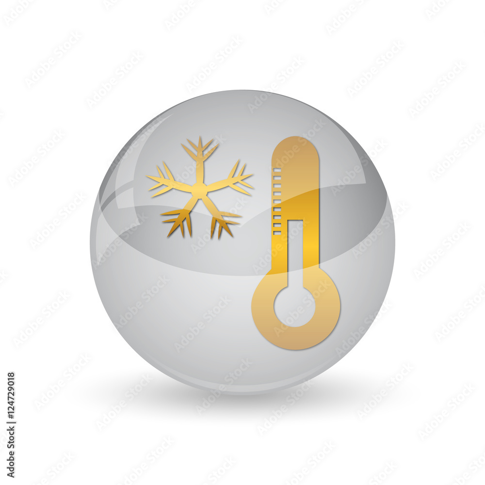Snowflake with thermometer icon Snowflake with thermometer icon