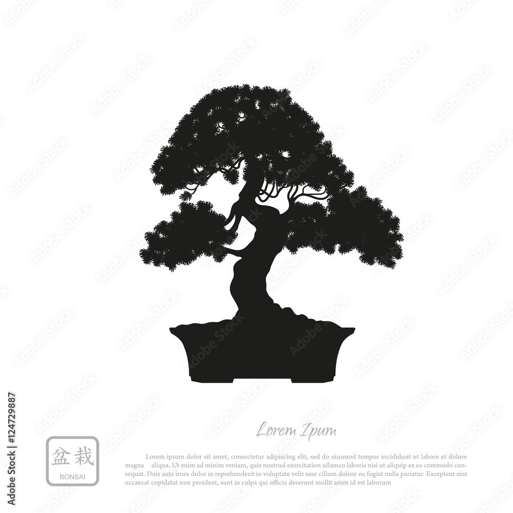 Black silhouette of a bonsai on a white background. Detailed ima Black silhouette of a bonsai on a white background. Detailed ima
