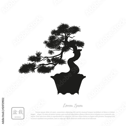 Black silhouette of a bonsai on a white background. Detailed ima